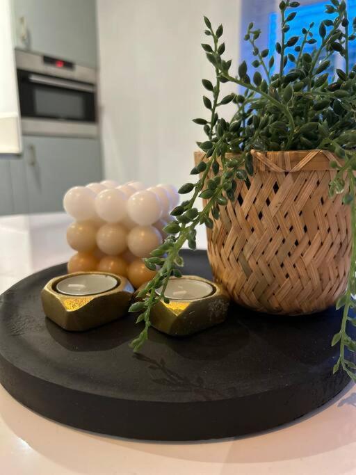 De Boet, Dicht Bij Duinen En Zee Villa Warmenhuizen Exteriör bild